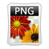 png11